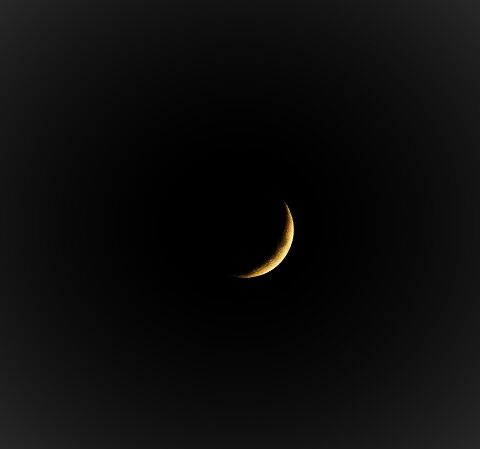 s-_DSC4972 (2)