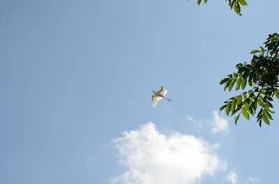 s-DSC_3602