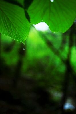 s-_DSC2734 (2)