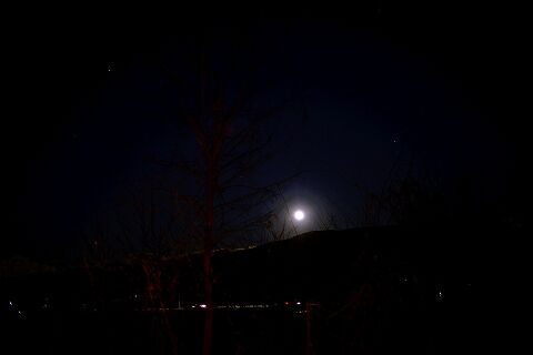 s-_DSC5783 (2)