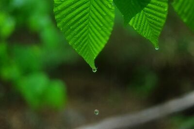 s-_DSC2070 (2)
