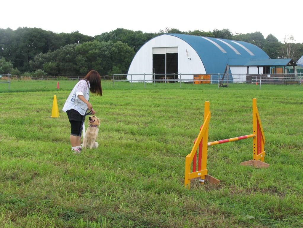 出走 クレアちゃん タカトシ牧場アイドル犬 メッシ日記 出走 クレアちゃん タカトシ牧場アイドル犬 メッシ日記