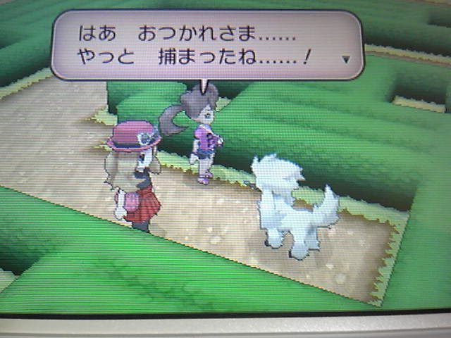 ポケモンx通信12 パレのなみき道で特訓 パルファム宮殿で花火見物 New ナールダイアリーチャンネル ライブ