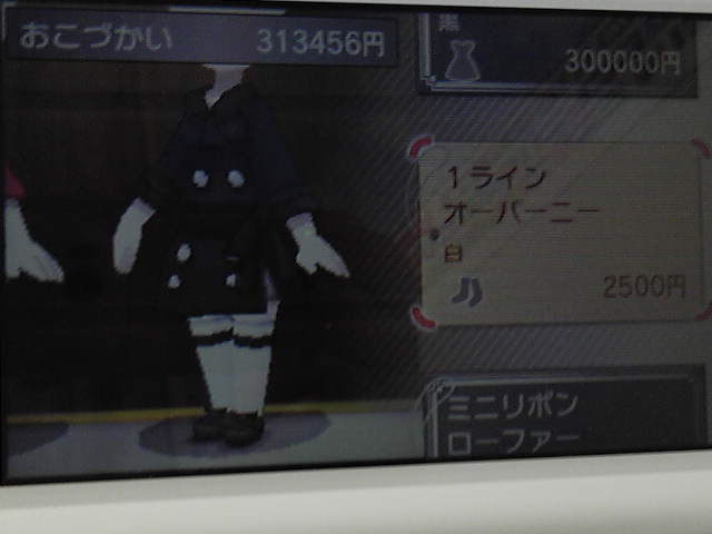 ポケモンｘ通信37 アズール湾とミアレシティでアルバイト New ナールダイアリーチャンネル ライブ