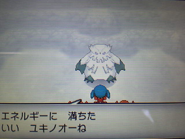 ポケモンx通信28 フロストケイブで大暴れ New ナールダイアリーチャンネル ライブ