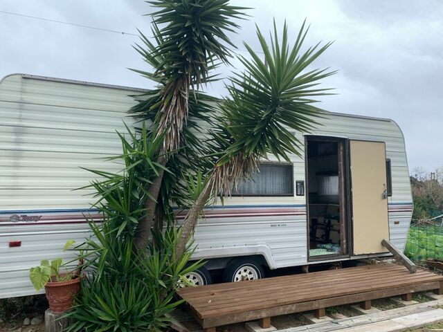 剪定 ワンダフル シーカヤック