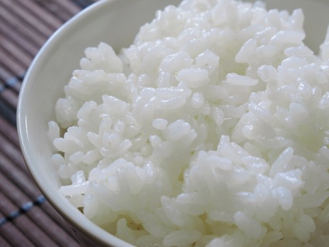 ご飯2