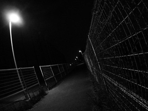 夜道