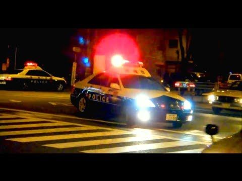 車 パトカー 夜