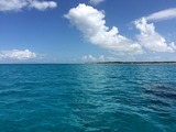 IMG_0351