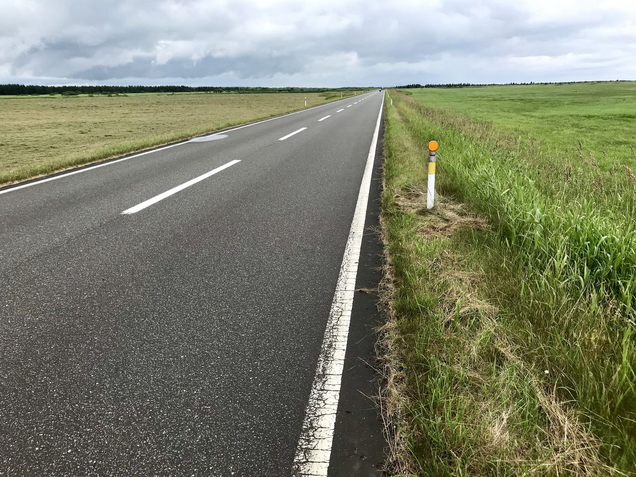 エサヌカ原生花園 エサヌカ林道 北海道猿払村 くるま旅でぶらり日本めぐり