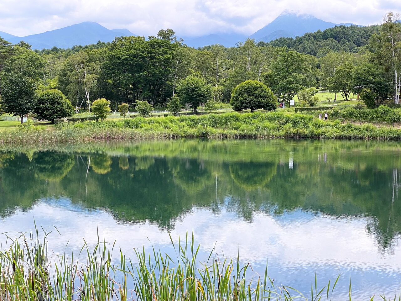 八ヶ岳の西に広がる山麓の 豊かな自然に親しむスポット 八ヶ岳自然文化園 長野県原村原山 くるま旅でぶらり日本めぐり