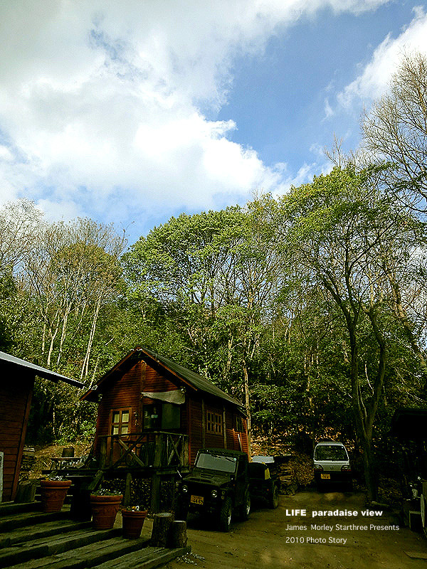 森のパン屋さん　小麦堂