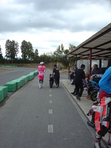 ���⡣����