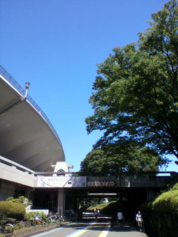 P1000906