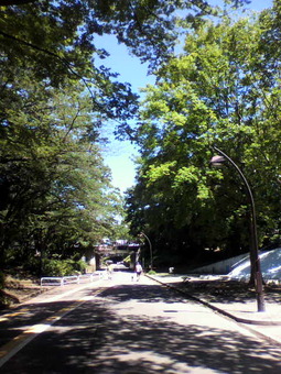 P1000905