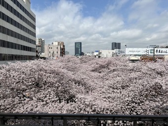 IMG_6588