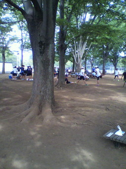 2013071408490001