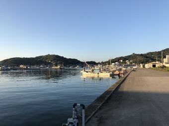 IMG_6484