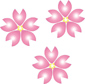 2009 Sakura