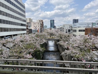 IMG_6587
