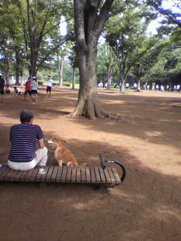 2013071408490000