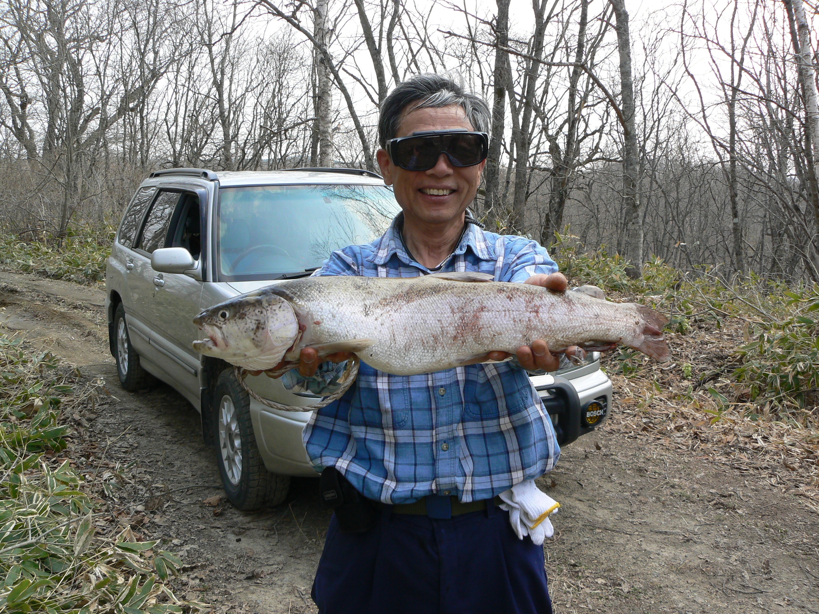 湿原の春 北海道 別寒辺湿原のイトウ釣り 北海道で暮らそう ミニログハウスで田舎暮らし 湿原の春 北海道 別寒辺湿原のイトウ釣り 北海道で暮らそう ミニログハウスで田舎暮らし