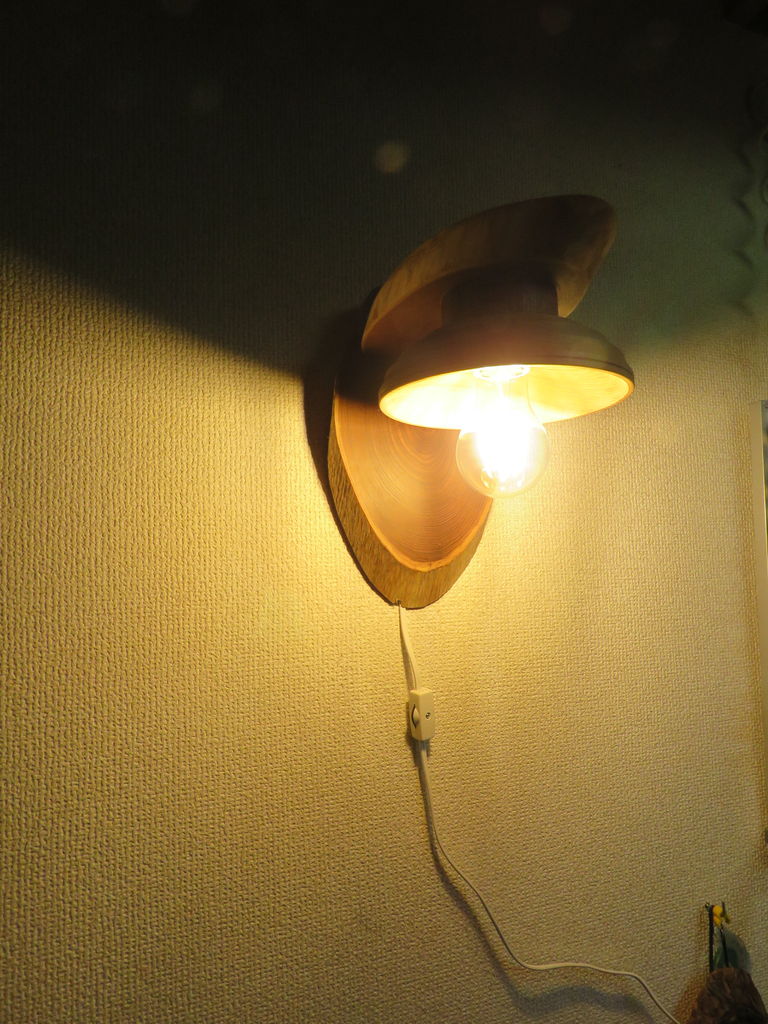 壁付けブラケット照明器具 北海道で暮らそう ミニログハウスで田舎暮らし