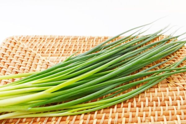 ねぎ食えない奴いる 食い食いブログ ねぎ食えない奴いる 食い食いブログ