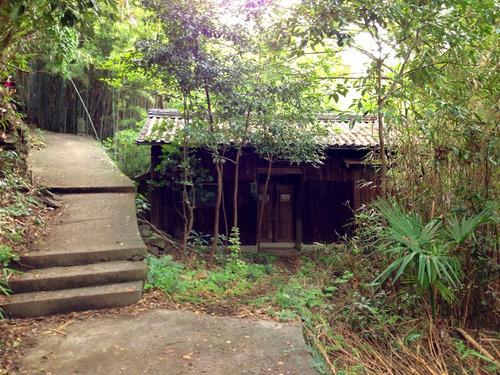 takami05
