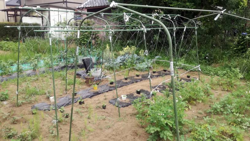 ニート 野良仕事に精を出す 本格ニートの菜園計画 Neet40