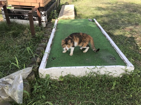 0825yacht (14)