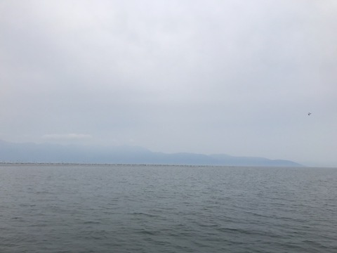 image9