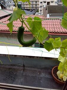 IMG_2022-07-27-14-07-10-477