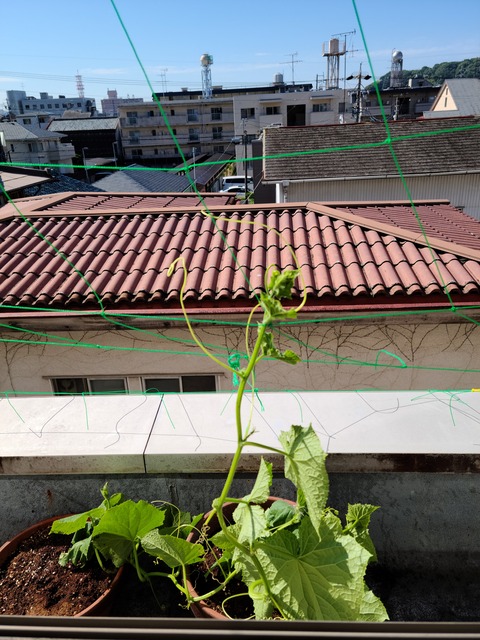 20220627_080727