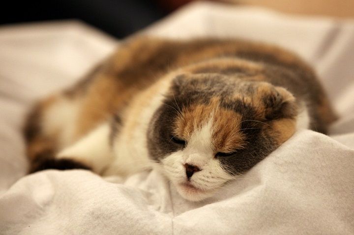 IMG_8616 - ¥³¥Ô¡¼