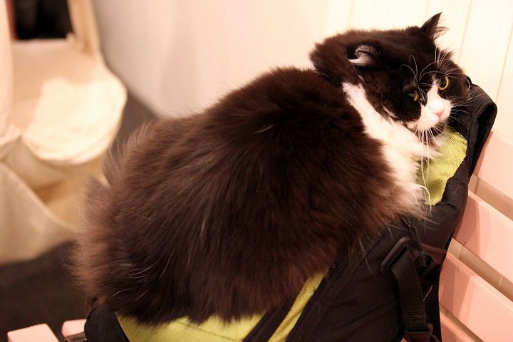 IMG_8620 - ¥³¥Ô¡¼