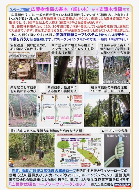 広葉樹伐採WS案内2 (1)