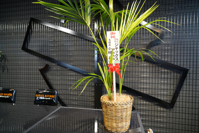 DSC07331[1]