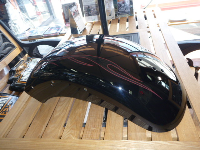 P1060029