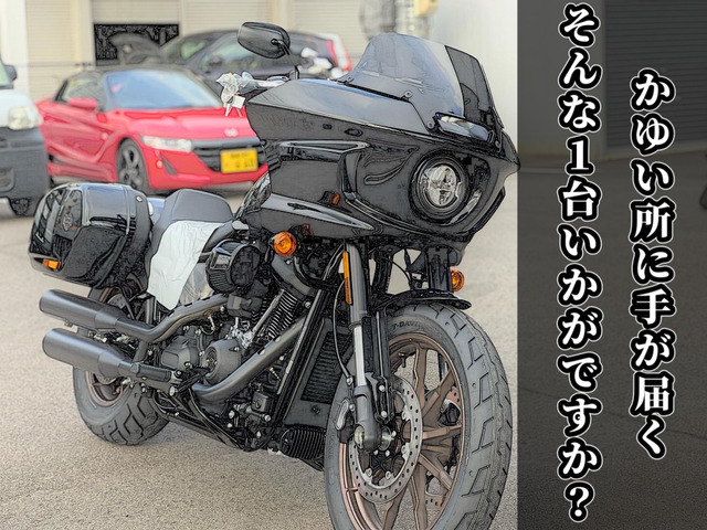image_6483441 (20)