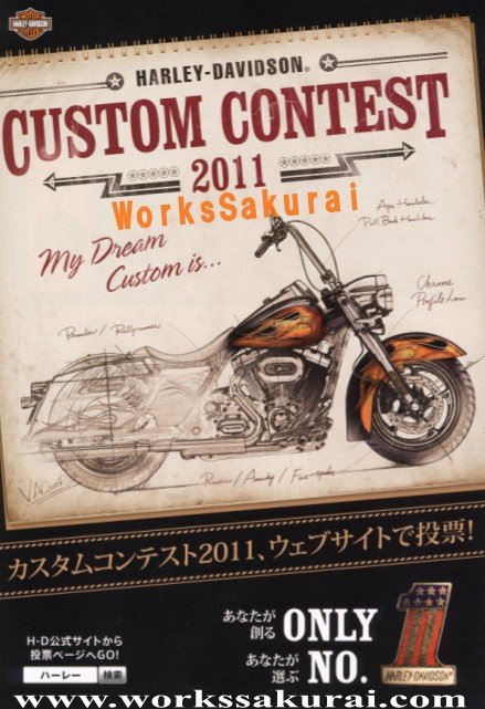 ｶｽﾀﾑｺﾝﾃｽﾄ１20110119
