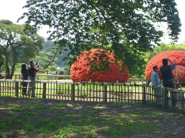 P1290569[1]