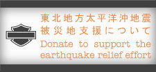 promo_donation_on[1]
