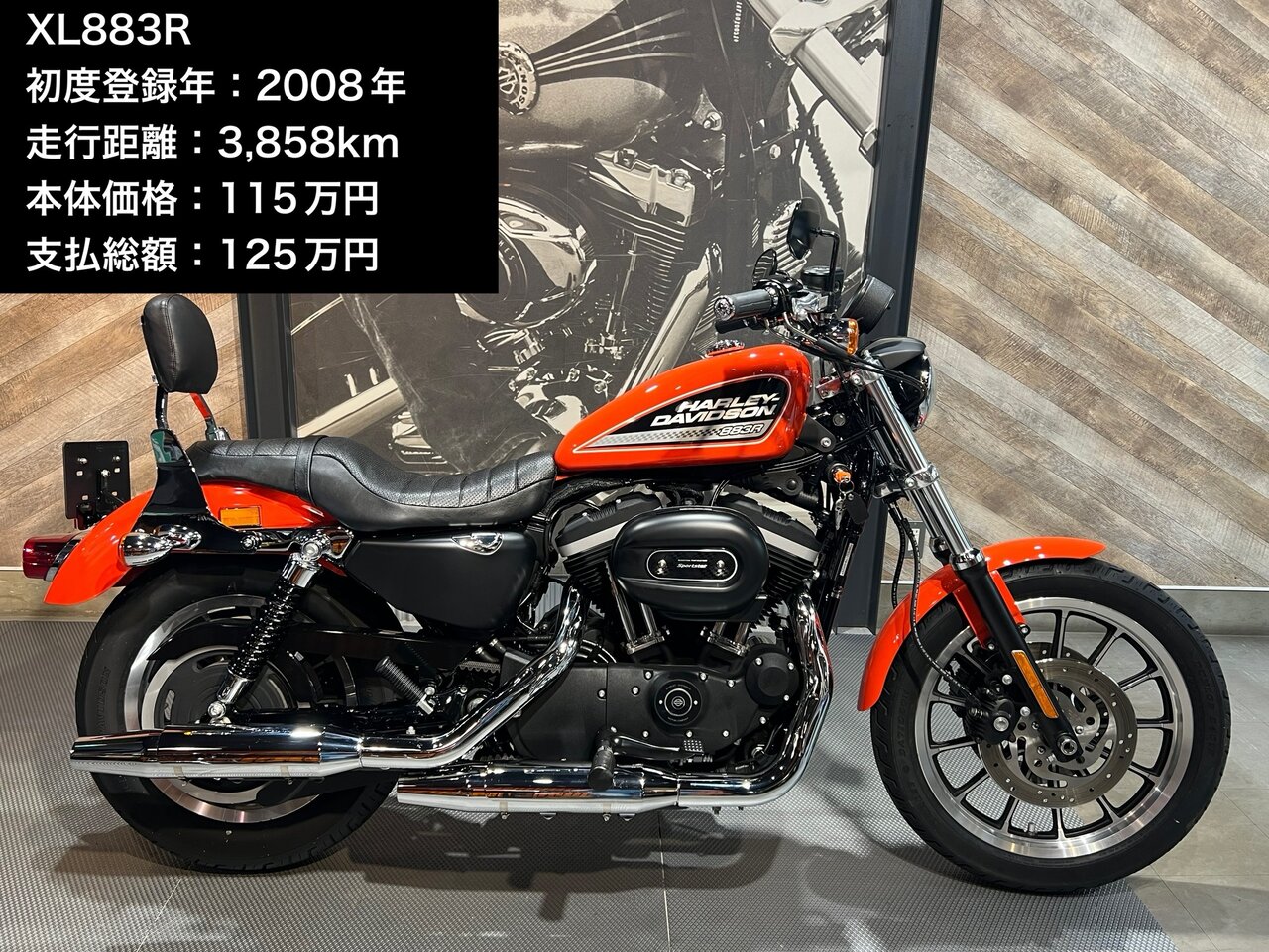 XL883R入荷しました✨ : HARLEY-DAVIDSON SAKURAI BLOG (旧称 XL883R入荷しました✨ : HARLEY-DAVIDSON SAKURAI BLOG (旧称