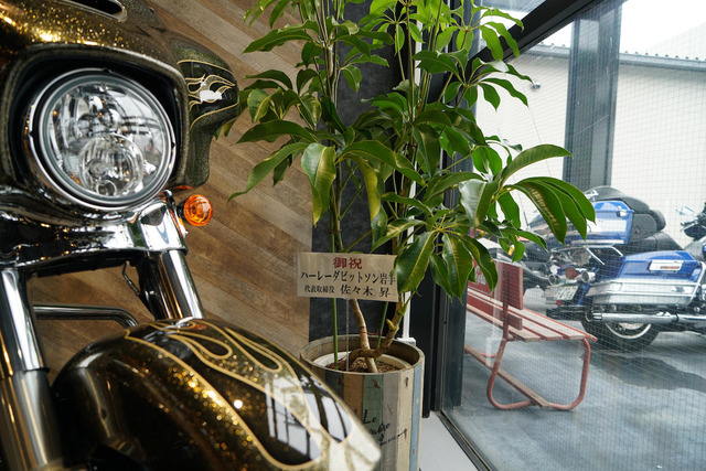 DSC07317[1]