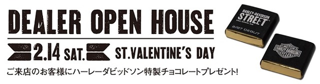 15_Valentinesday_DM_Atena