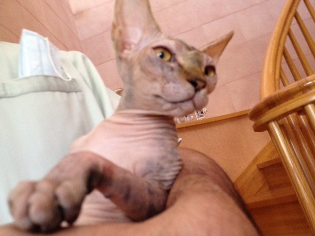20120913a