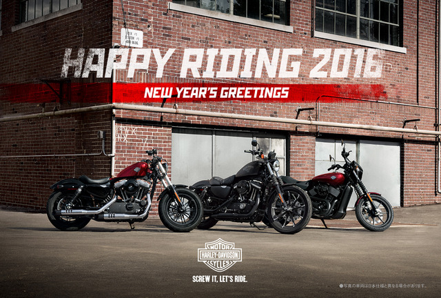 F_16_NewYear_DLR_C