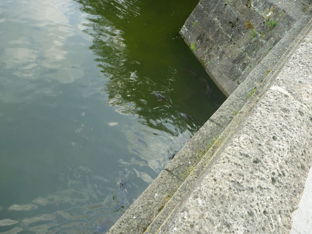 P1290258[1]